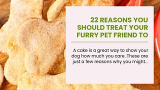 22 Reasons You Should Treat Your Furry Pet Friend to a Dog Cake