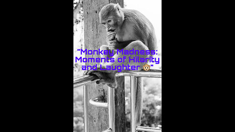 "Monkey Madness: Moments of Hilarity and Laughter 🐵"