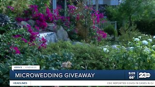 Kern's Kindness: Hidden Garden gives away free micro-wedding