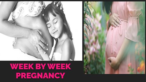 Journey of Joy Week by Week Pregnancy 2023 | 40 weeks of pregnancy