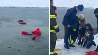 Firefighters rescue dog from frozen New York pond