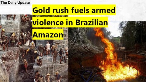Gold rush fuels armed violence in Brazilian Amazon | The Daily Update