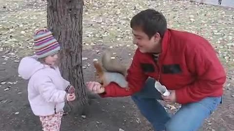 Squirrel Decides To Store Nuts Inside Man's Jacket