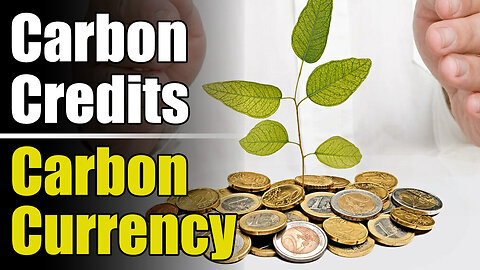 OP;ED - Carbon Currency & Questions [10/Jan/23]