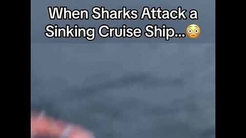 When Sharks Attack A Sinking Cruise 🚢Ship