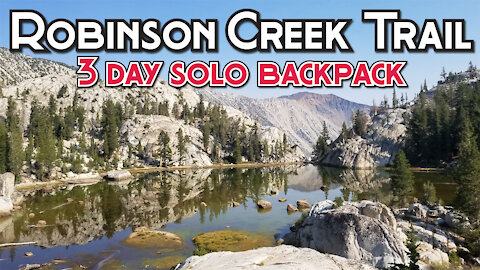 3 Day Solo Backpack | Hoover Wilderness | Robinson Creek Trail Loop 2020