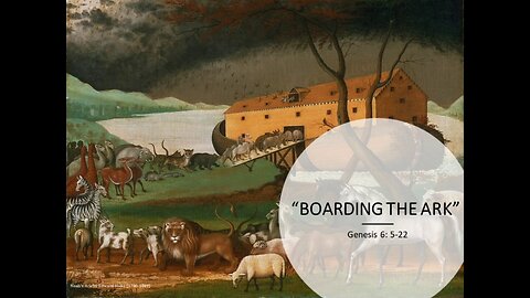 Boarding the Ark