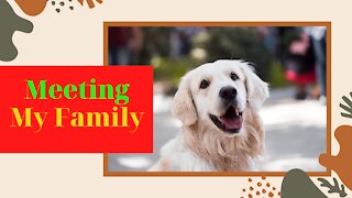 Cute Dog Reaction ~ Meeting With Family 2021