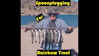 Catching Rainbow Trout at Bill Evans Lake in New Mexico