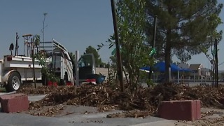 Parents upset as preschool play area becomes garden