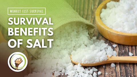 6 Practical Benefits of Salt | MONKEY FIST SURVIVAL