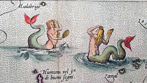 Mermaids And A Merman ...For REAL !