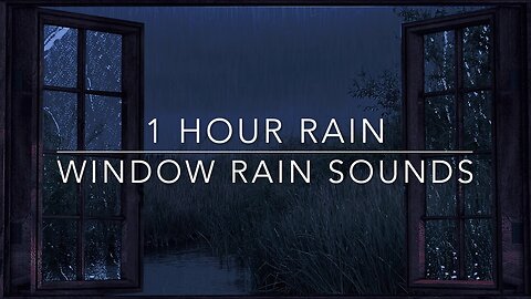 🔴 Better Sleep Immediately with Heavy Rain & Thunder Sounds on a Roof House at Night in the Forest