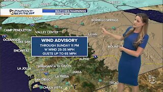 ABC 10News Pinpoint Weather with Jennifer Delacruz