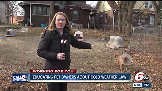 Animal advocates out educating pet owners about Indiana's cold weather law