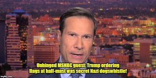MSNBC guest Frank Figliuzzi claims Trump ordering flags at half mast was secret Heil Hitler sign