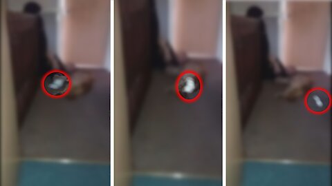 Huge ghost orb caught on camera