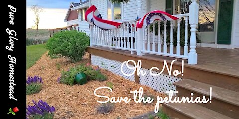 The Glory of A Beautifully Decorated Front Porch in a Wind Storm