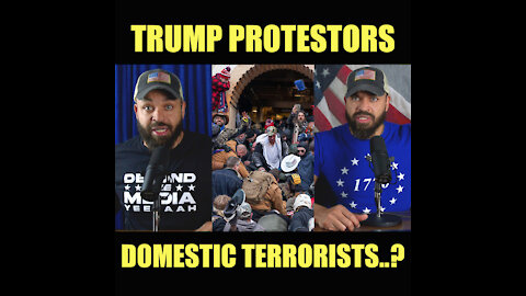 Trump Protestors Domestic Terrorists?