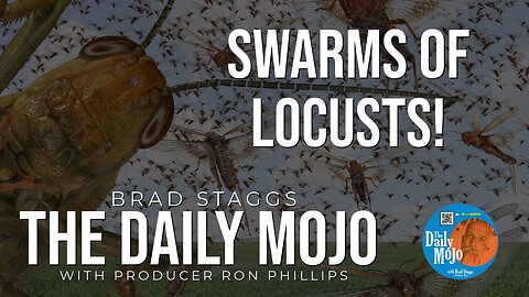 Swarms Of Locusts! - The Daily Mojo 022024