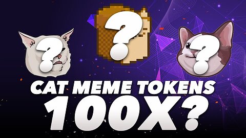 Cat Meme Tokens To The moon (POPCAT, LMEOW) | Unlock Crypto Wealth: Read Description 💰👇