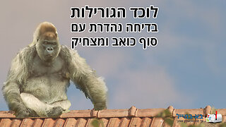 לוכד הגורילות - בדיחה נהדרת