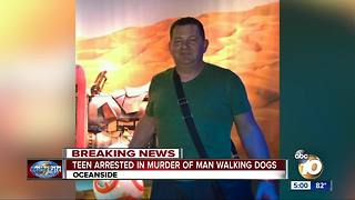 Teen arrested in murder of man walking his dogs