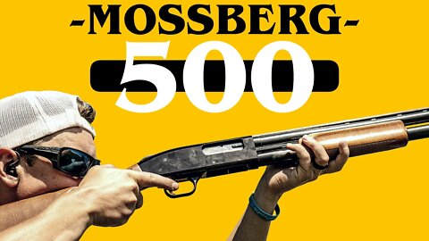 This Gun Started My Career | Mossberg 500 12ga Pump Shotgun Review