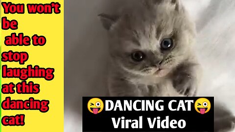This cat's dance moves are lit!