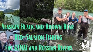 Alaskan Bears While Fishing the Russian and Kenai Rivers for Red Salmon #brownbear #blackbear #kenai