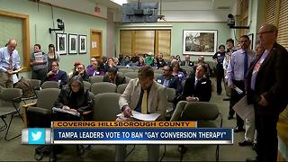 Tampa city council votes unanimously to ban conversion therapy