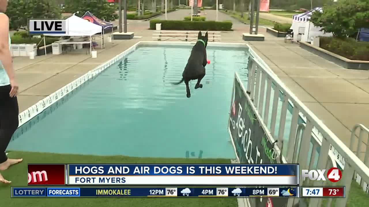 Season 4 Giving: Air dog event helps Gulf Coast Humane Society