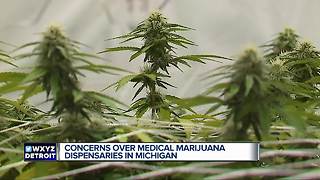 New push to legalize recreational marijuana in Michigan