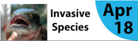 Invasion of the Resource Snatchers: Invasive Plants & Animals of the Cincinnati Region