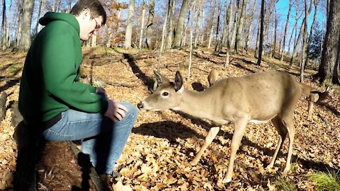 Man sits in the woods patiently for wild deer to approach