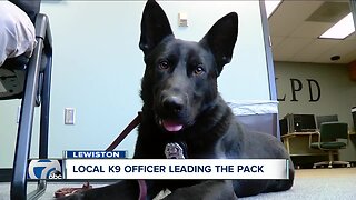 Two Western New York K9s nominated for a special police grant