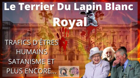 LE TERRIER DU LAPIN BLANC ROYAL🤢