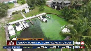 Group works to turn algae into fuel