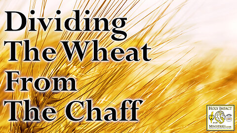 Dividing The Wheat From The Chaff