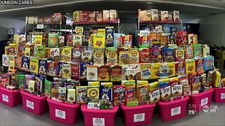 Dunedin’s 'Cereal Girl' helps hundreds of families in need