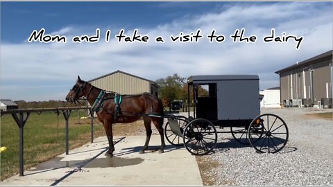 Mounttain View Market #mennonite #Amish #Creamry