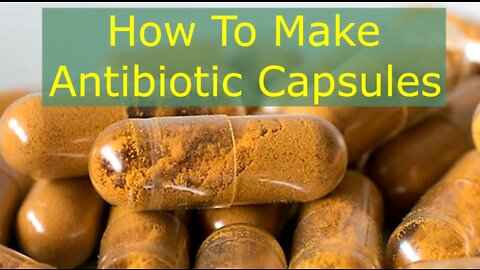 How To Make Natural Antibiotics Capsules at Home | Easy + Powerful