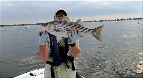 The Striper Blues Journal - Video Log 51 - 12-25-20 - Captain T's Christmas Special!