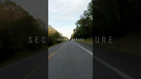 Moto ride through northern Florida short 3 - music by dubonacci