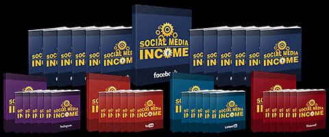 Generation of Income by LinkedIn