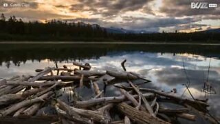 Os timelapses mais incríveis da natureza