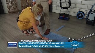 Zerorez- See The Magic For Yourself and For Your Carpets