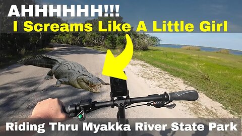 I should Not Have Gone Alone - Ebike Ride Myakka River State Park with Alligators (Zota Zephyr)