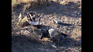 NHP: Helicopter crash near Red Rock Canyon