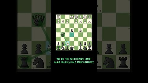 💎WOW! Winning one piece Elephant Gambit UAU Ganhe uma peça no Gambito Elefante #xadrez #catur #chess